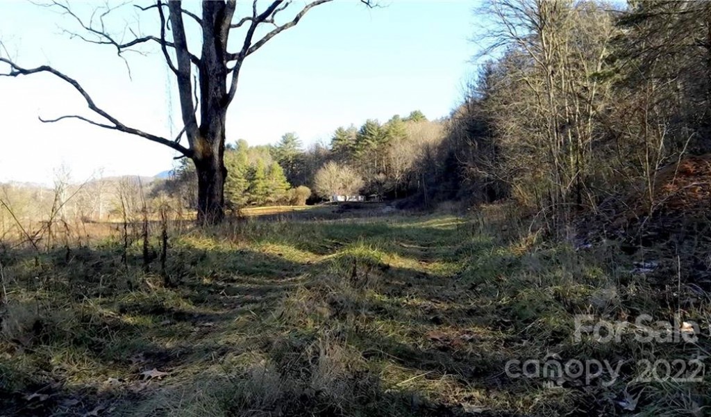 280 Merle Farm Lane, Pisgah Forest, North Carolina image 3