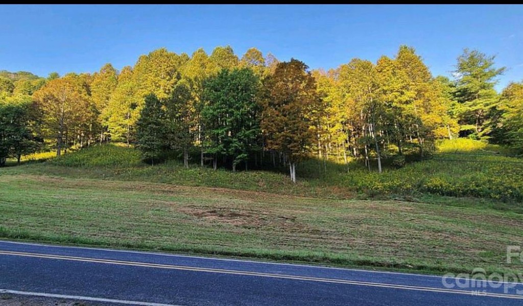 438 Silas Branch Road, Burnsville, North Carolina image 34