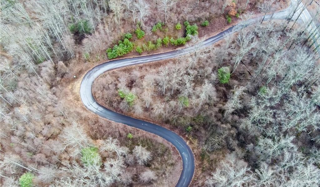 620 Elk Mountain Scenic Highway, Asheville, North Carolina image 6