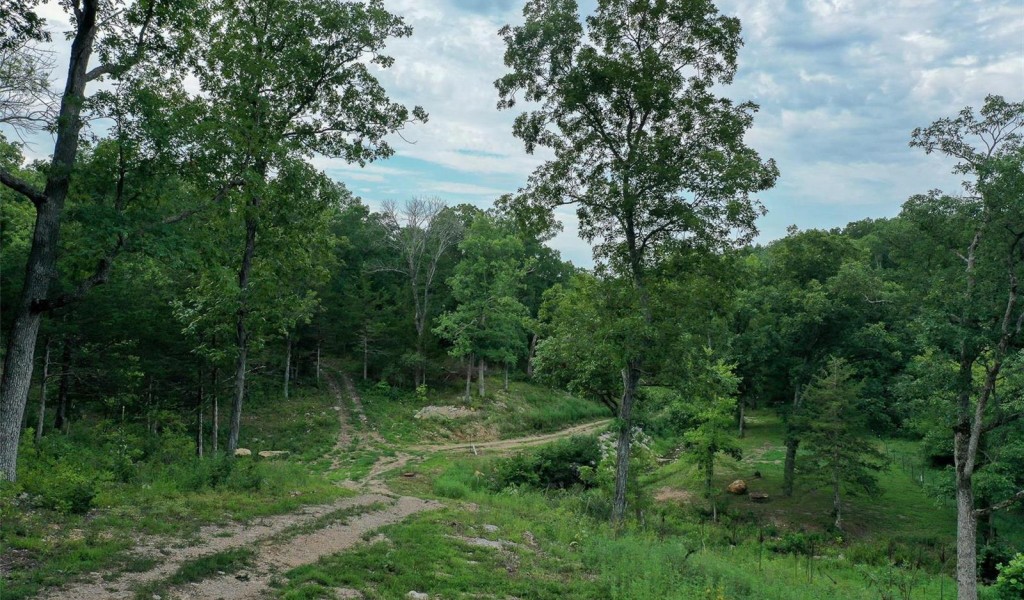 7 Eagle View Spur, Holts Summit, Missouri image 7