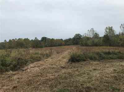 8203 State Hwy Cc (lot #2)