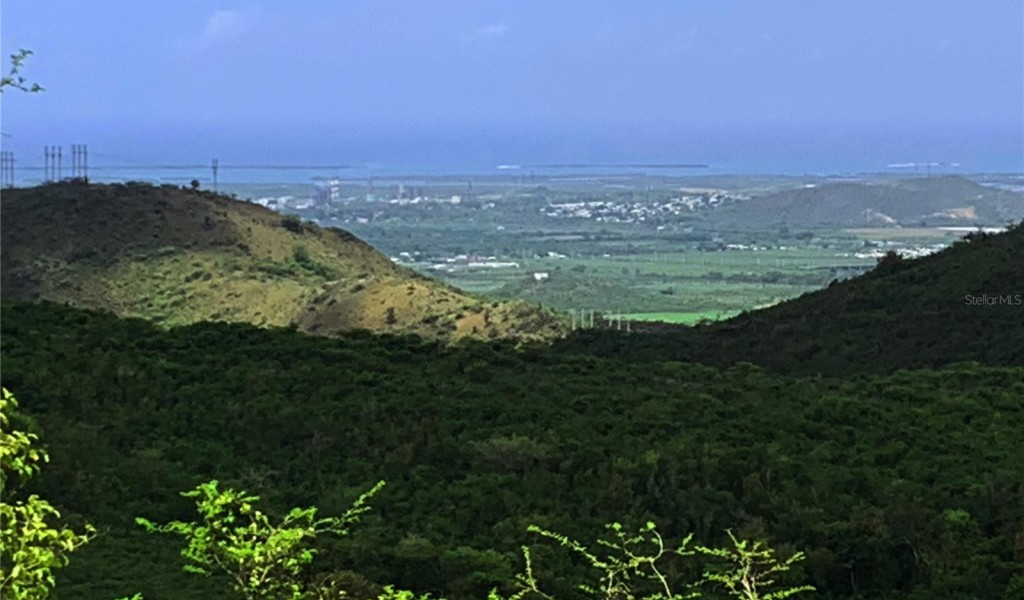 Carr. 713 Km. 6.2 Int. Bo Quebrada Yeguas, Sec. Pena Hendida, Pozo Hondo, GUAYAMA, Puerto Rico image 14