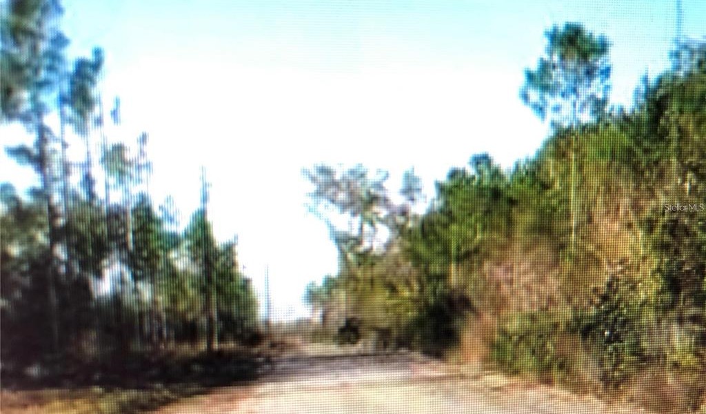 35 Acres Madison Main Line, PERRY, Florida image 1