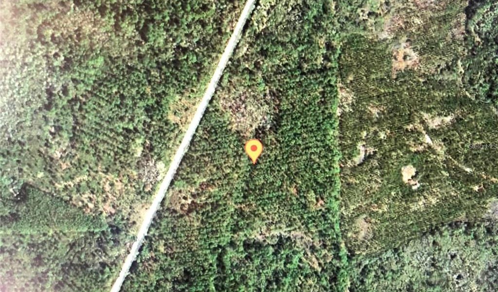 35 Acres Madison Main Line, PERRY, Florida image 3
