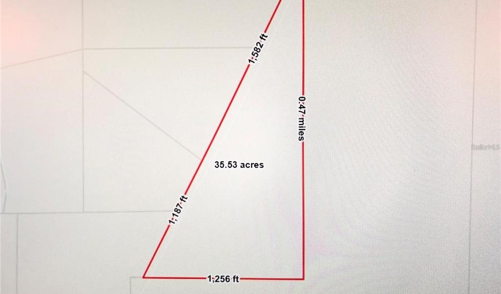 35 Acres Madison Main Line, PERRY, Florida image 2