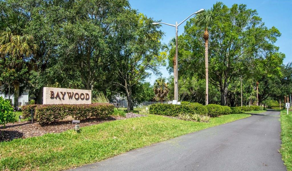 4300 Baywood Boulevard #C-103, MOUNT DORA, Florida image 1