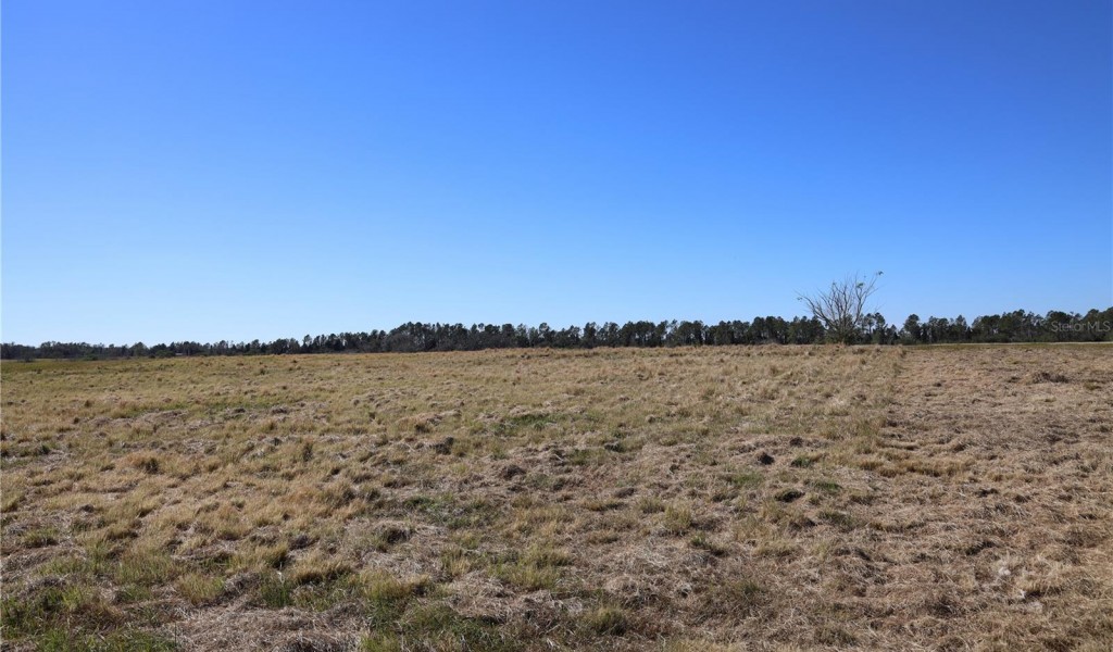 10229 Hwy 555, FORT MEADE, Florida image 30