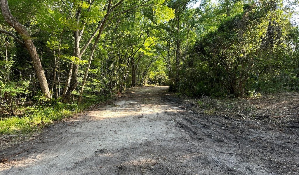 1516 Bear Woods Lane, APOPKA, Florida image 6