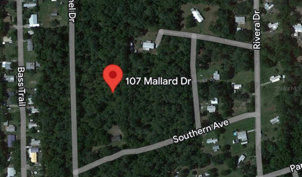 107 Mallard Drive, CRESCENT CITY, Florida image 7