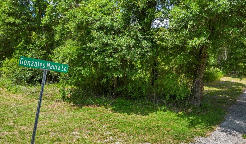 Gonzales Maura Lane, BROOKSVILLE, Florida image 3