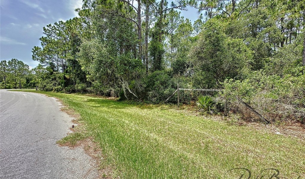 13648 Lacebark Pine Road, ORLANDO, Florida image 4