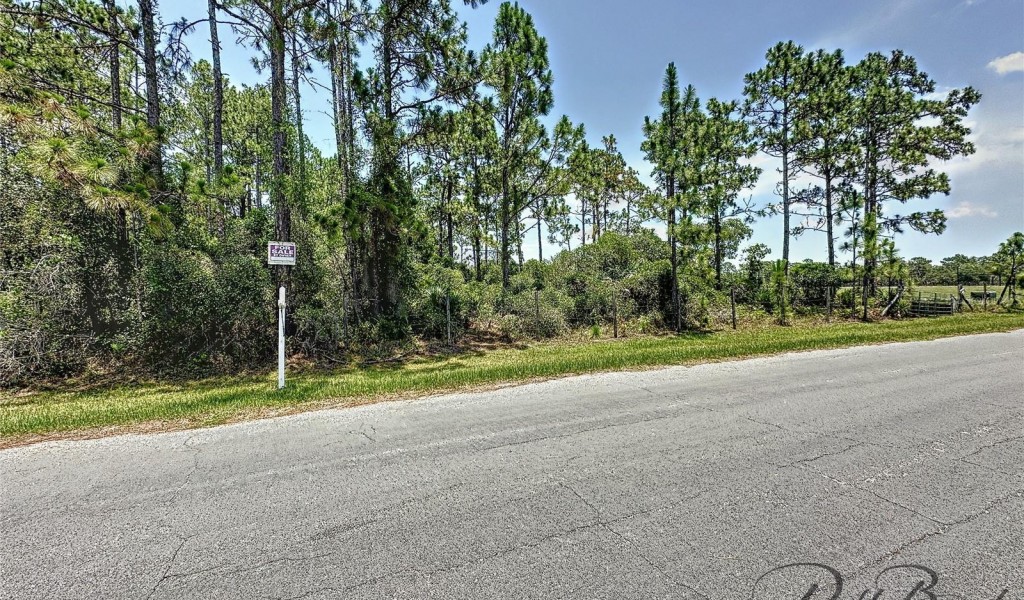 13648 Lacebark Pine Road, ORLANDO, Florida image 2