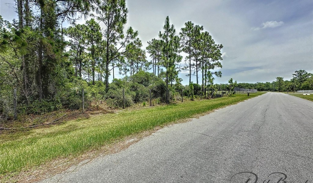 13648 Lacebark Pine Road, ORLANDO, Florida image 6