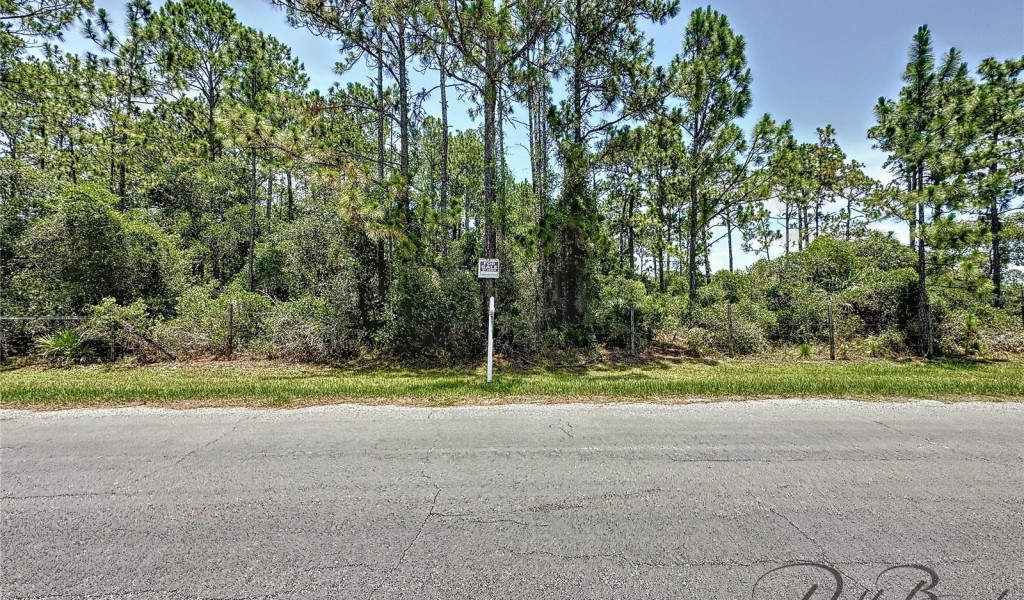 13648 Lacebark Pine Road, ORLANDO, Florida image 1