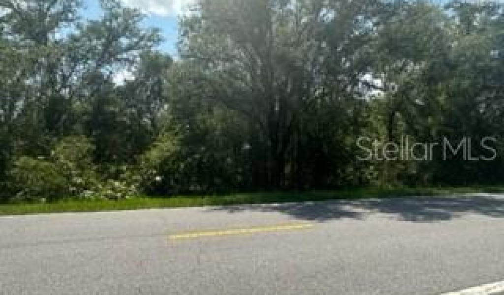 5900 N Dormany Road, PLANT CITY, Florida image 17