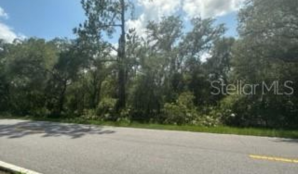 5900 N Dormany Road, PLANT CITY, Florida image 16