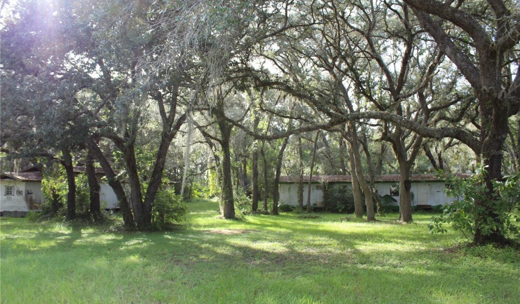 350 Purdom Cemetery Road, PIERSON, Florida image 1