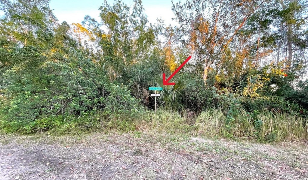 Access Undetermined, NORTH FORT MYERS, Florida image 5