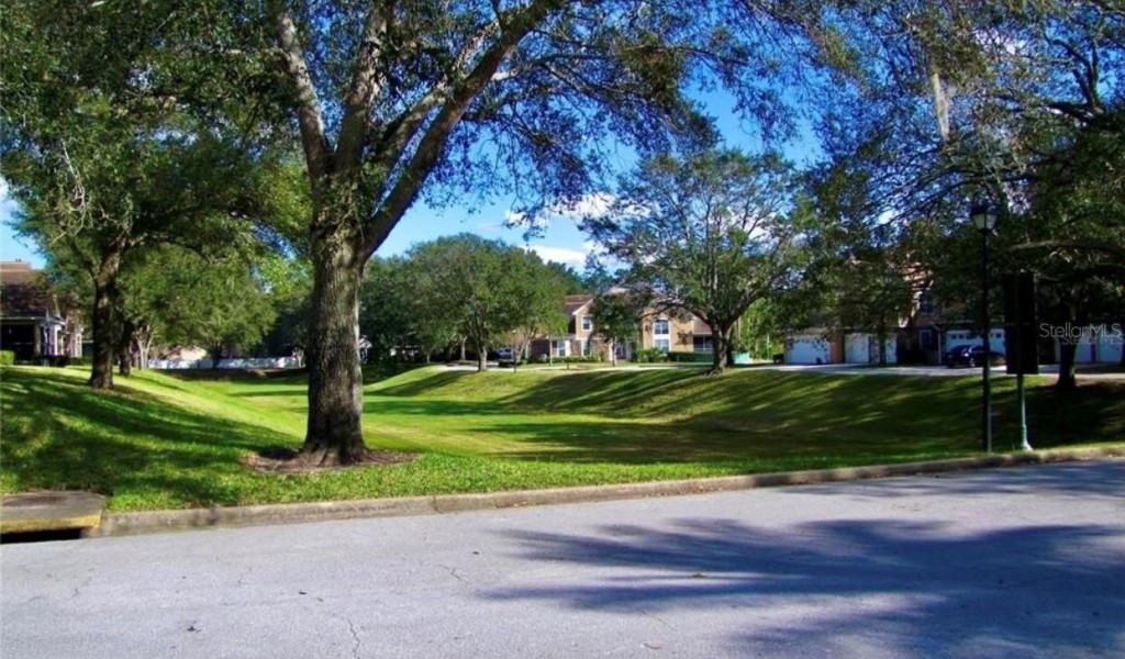 7429 Green Tree Drive #96, ORLANDO, Florida image 18
