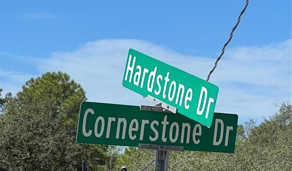 8141 Hardstone Drive, WEBSTER, Florida image 4