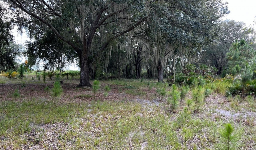 Pine Island Road, CLERMONT, Florida image 14
