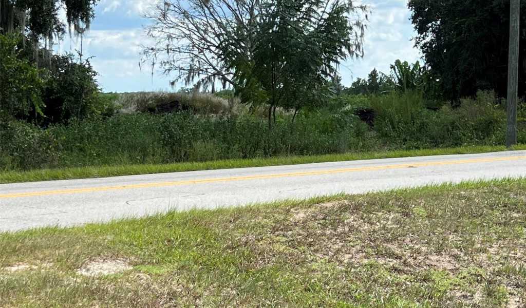 Pine Island Road, CLERMONT, Florida image 10