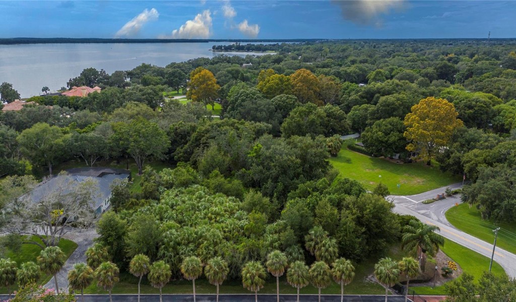000 Lakeshore Pointe Boulevard, MOUNT DORA, Florida image 6