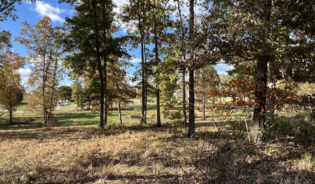 Double Eagle Dr- Lot 27, Summertown, Tennessee image 11