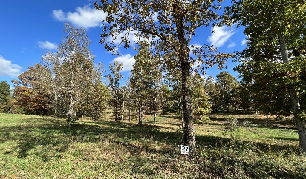 Double Eagle Dr- Lot 27, Summertown, Tennessee image 4