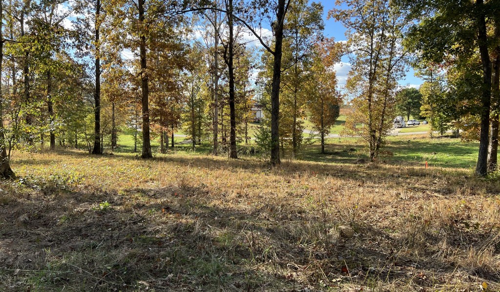 Double Eagle Dr- Lot 27, Summertown, Tennessee image 12