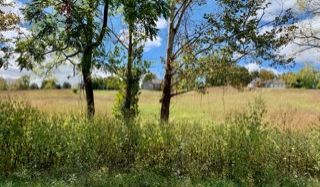 635 Thompson Creek Ln_lot 83, Cookeville, Tennessee image 1