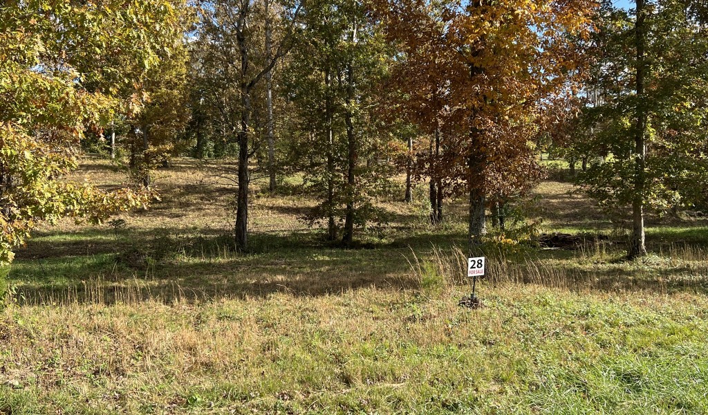 Double Eagle Dr Lot 28, Summertown, Tennessee image 10