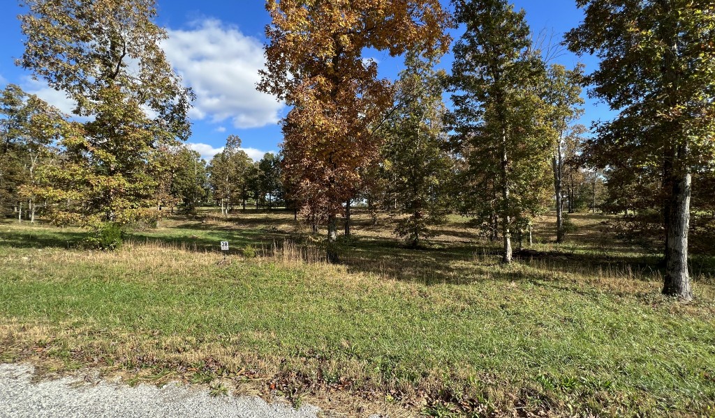 Double Eagle Dr Lot 28, Summertown, Tennessee image 1