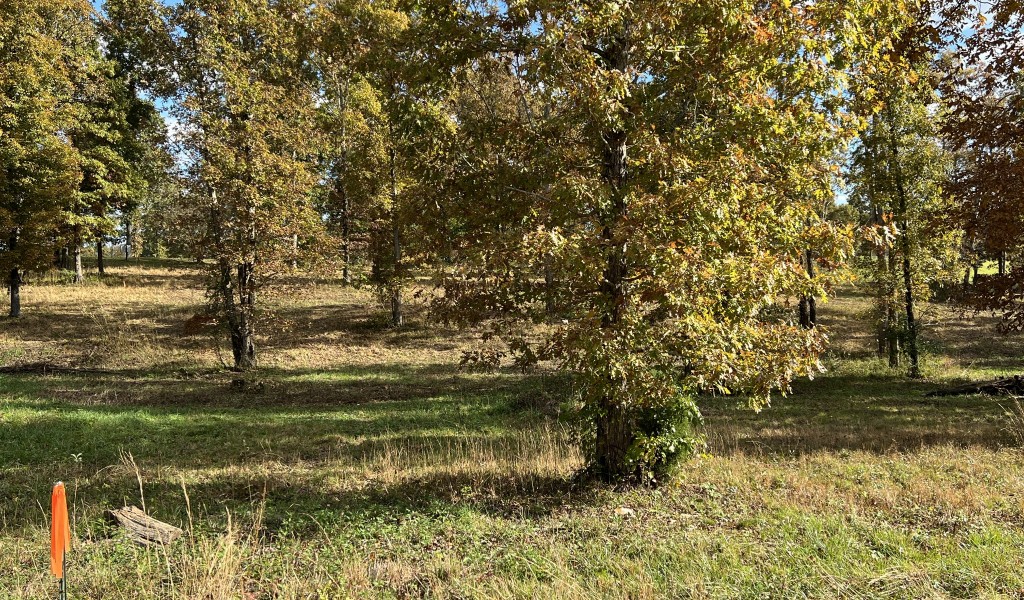 Double Eagle Dr Lot 28, Summertown, Tennessee image 11