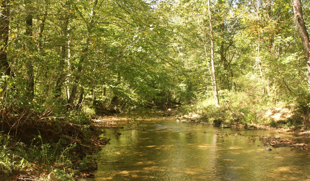 Puncheon Creek Rd, Lafayette, Tennessee image 1