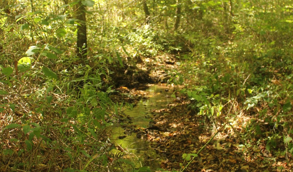 Puncheon Creek Rd, Lafayette, Tennessee image 13