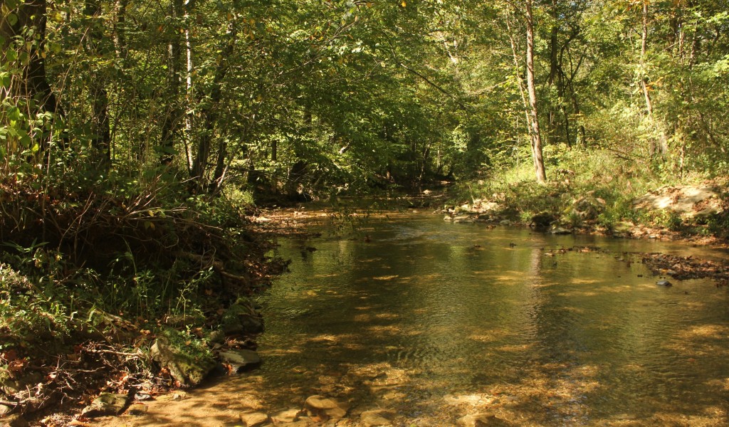 Puncheon Creek Rd, Lafayette, Tennessee image 6