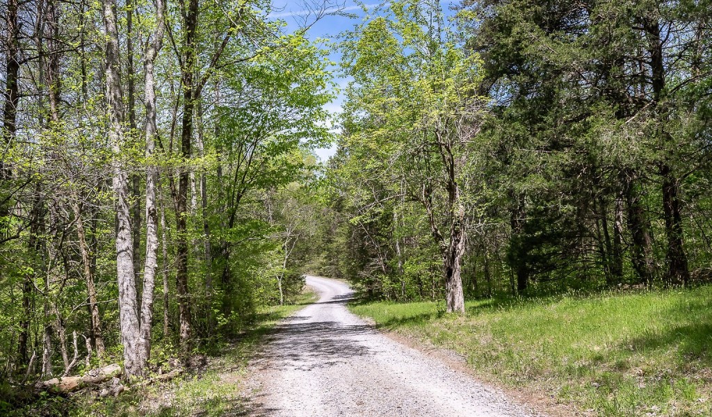 Seven Knobs Rd, Gainesboro, Tennessee image 29