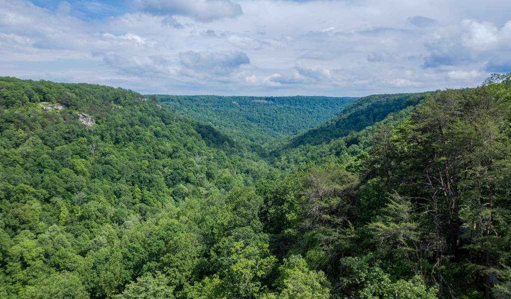 Bridal Veil South, Monteagle, Tennessee image 13