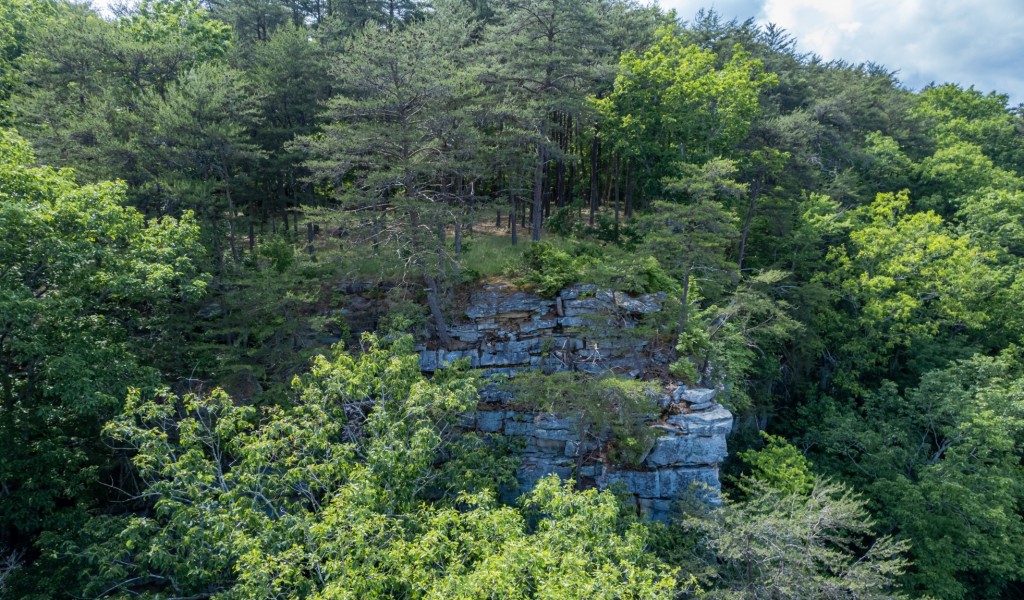 Bridal Veil South, Monteagle, Tennessee image 15