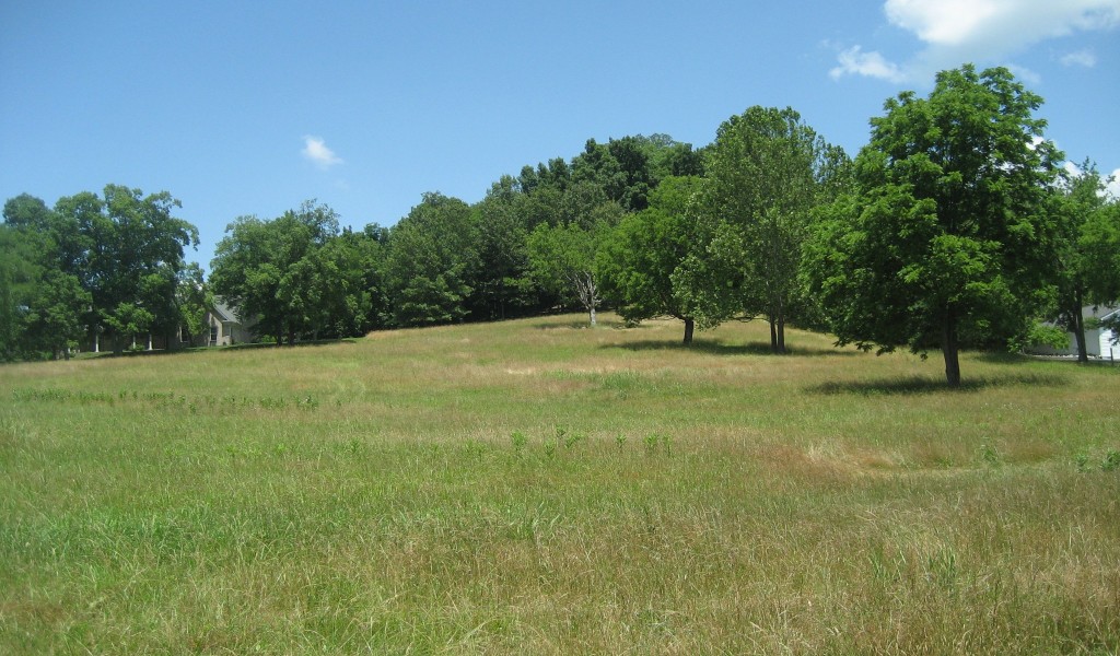 5194 Flat Creek Rd, Spring Hill, Tennessee image 1
