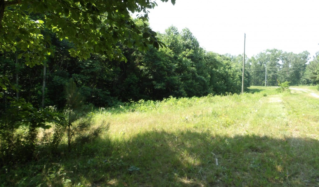 Pleasant Hill Cemetery Lane, Gainesboro, Tennessee image 40