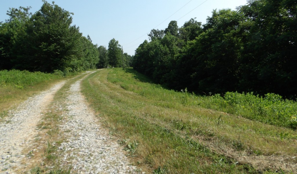 Pleasant Hill Cemetery Lane, Gainesboro, Tennessee image 29