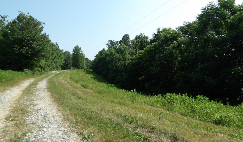 Pleasant Hill Cemetery Lane, Gainesboro, Tennessee image 27