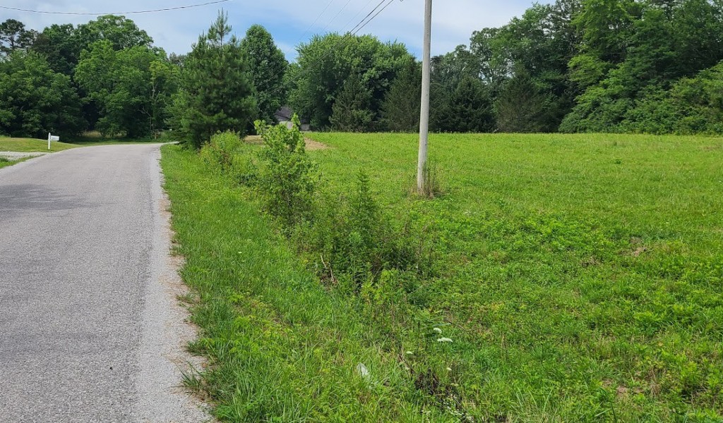 18th Ave S - Lot 23, Gruetli Laager, Tennessee image 1