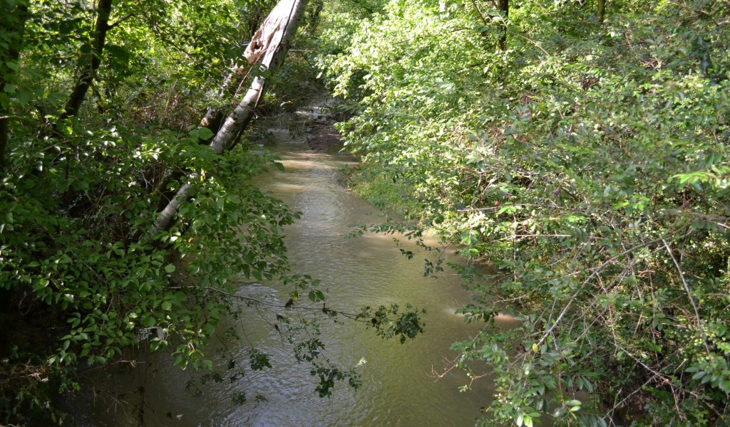1 Lick Creek Rd, Hartsville, Tennessee image 6