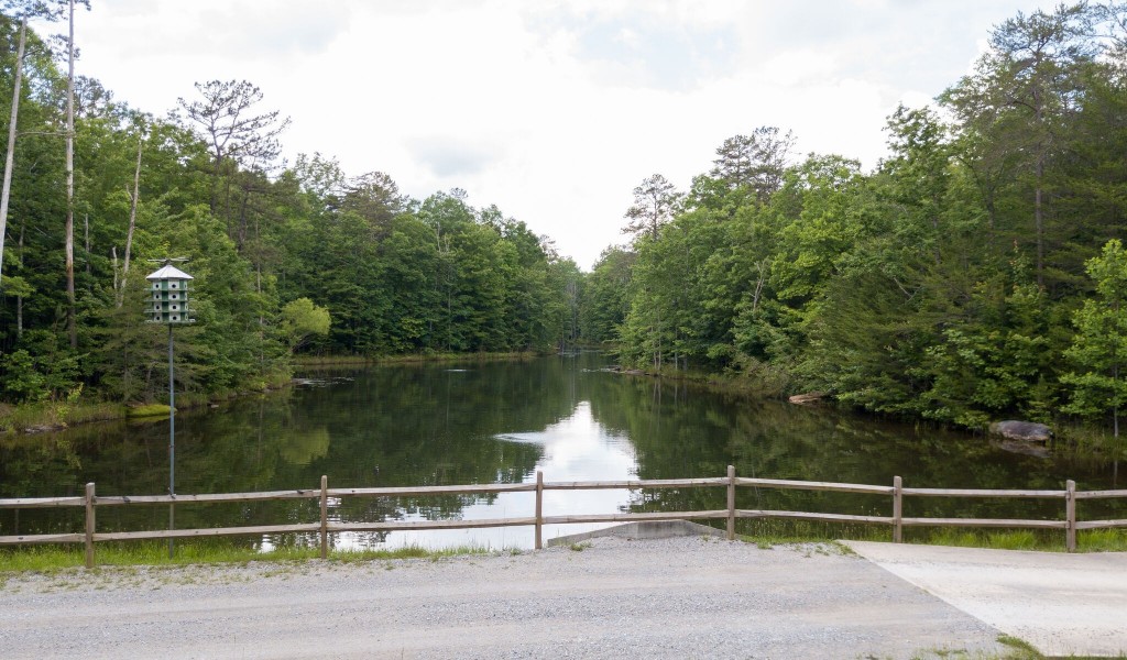 Boulder Lake Dr, Coalmont, Tennessee image 4
