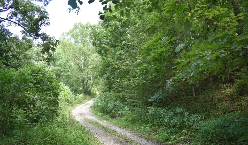 Smith Hollow Ln, Pleasant Shade, Tennessee image 2
