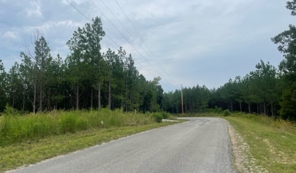 Old Hohenwald Rd, Linden, Tennessee image 12