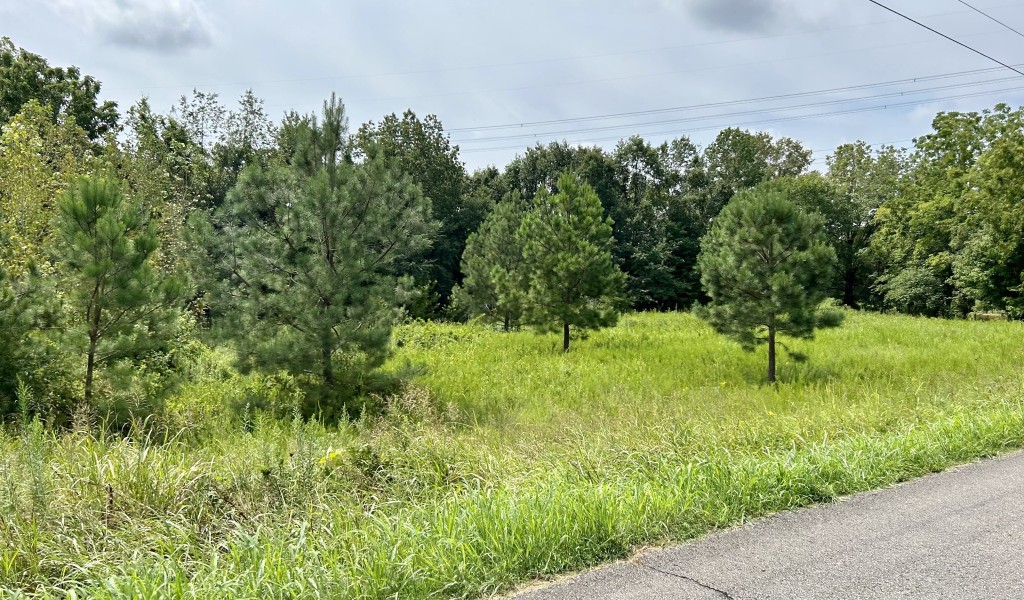 New Cut Rd, Springfield, Tennessee image 1